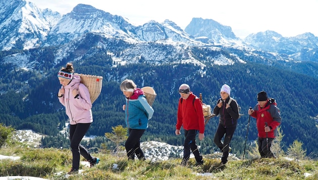 Italians carried the cheese wheels from Italy up into the Carnic Alps in humpbacked scrambles. (Bild: Wallner Hannes)