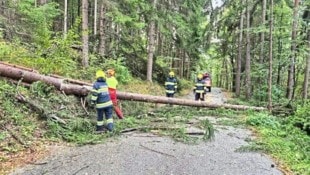 Steirische Florianis hatten in den letzten Tagen unzählige umgestürzte Bäume zu beseitigen. (Bild: FF Stattegg)