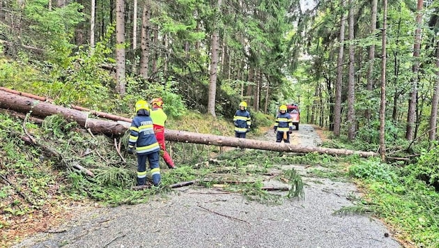 Steirische Florianis hatten in den letzten Tagen unzählige umgestürzte Bäume zu beseitigen. (Bild: FF Stattegg)