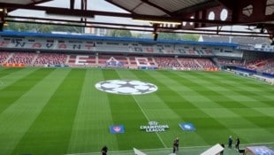 Innen schaut das Stadion in Guingamp wie ein kleines, feines Stadion aus. (Bild: krone.at/Kallinger)