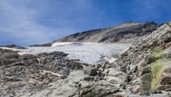 Das Schmelzen der Gletscher hat gravierende Auswirkungen, zum Beispiel ist der Lebensraum von Tieren und Pflanzen bedroht. (Bild: Hölzl Roland)