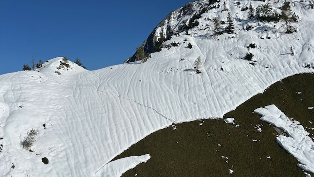 The "Bärenkopf" in Tyrol (Bild: ZOOM Tirol)