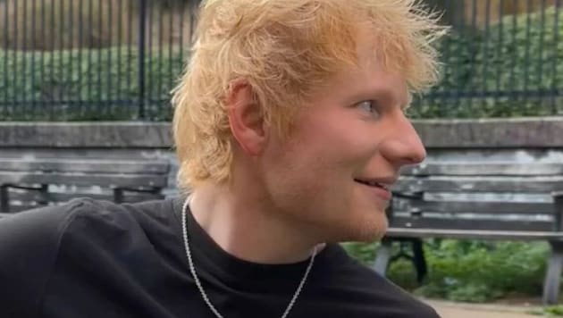 When Ed Sheeran spots a jogger, he calls out, "Hello, any requests?" And then he hits the strings ... (Bild: Instagram.com/teddysphotos)