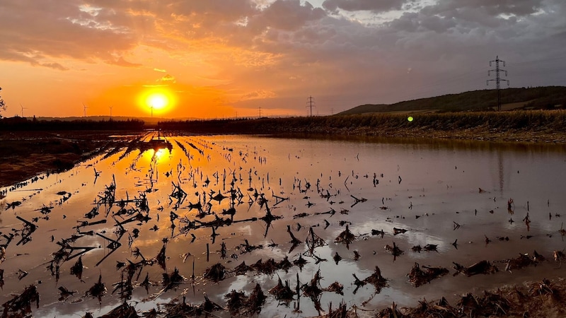 The serious effects of the flooding in the country are gradually becoming apparent. (Bild: Antal Imre)