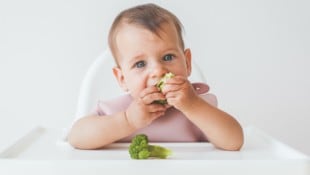 Eltern wollen bei ihren Kindern nichts falsch machen – schon gar nicht in puncto Ernährung. (Bild: stock.adobe.com/Evgeniya Primavera - stock.adobe.com)