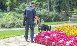 Seit Mitte Juli konnte bereits fast ein halbes Kilo Kokain und Cannabis im Volksgarten ...