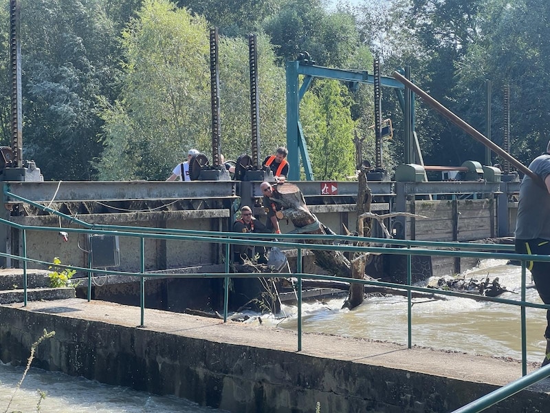 Das Heer löste die Verklausung in Gattendorf.  (Bild: Bezirksfeuerwehrkommando Neusiedl am See)