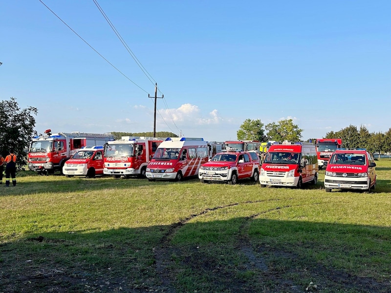 On Wednesday alone, around 300 firefighters were deployed in Nickelsdorf and Zurndorf. (Bild: Bezirksfeuerwehrkommando Neusiedl am See)