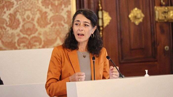 Sandra Krautwaschl, Grüne