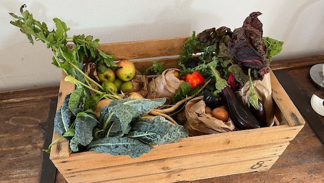 Each family received a vegetable box from pro mente once a week. (Bild: Gudrun Rönfeld)