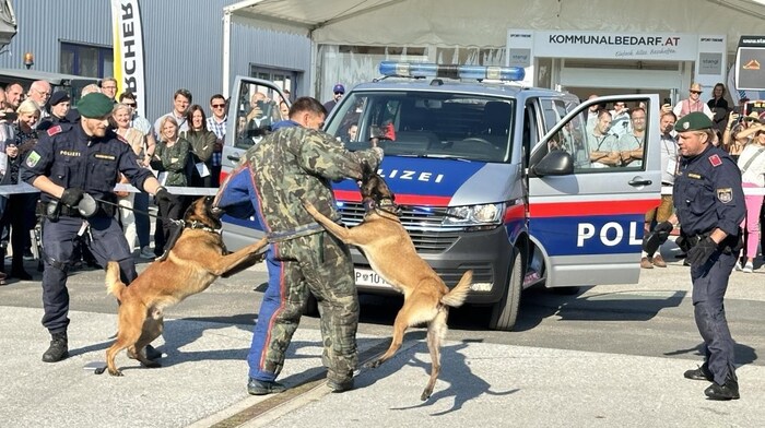 Spectacular dog demonstration by the police.