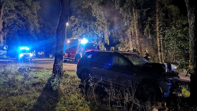 The mayor crashed into a tree during his escape. (Bild: FF Klam)