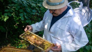 Herbert Grafl bei seinen Bienen. Er hat 18 Völker und beschäftigt sich seit rund 20 Jahren mit ...
