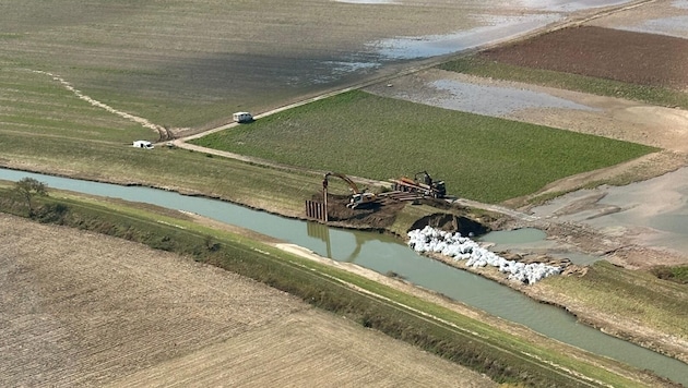 The Danube barge snail lives along the Perschling. For the state, however, the inhabitants are more important, and the river is currently - finally - being restored. (Bild: Büro LHStv Pernkopf)