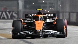 Lando Norris (Bild: AFP or licensors)