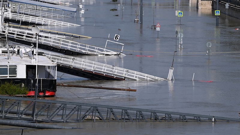 man drowned in Budapest (Bild: AFP/Attila Kisbenedek)