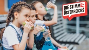 Die richtige Ernährung ist auch Medizin: Gemüse, frisches Obst & Vollkornbrote sind für Kinder besser als Fertigprodukte. (Bild: Krone KREATIV/Тарас Нагирняк – stock.adobe)