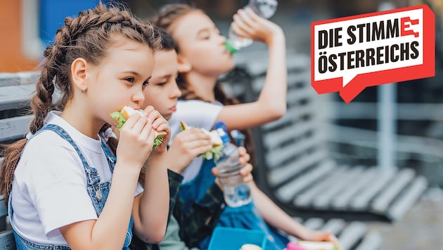 The right diet is also medicine: vegetables, fresh fruit and wholemeal bread are better for children than ready-made products. (Bild: Krone KREATIV/Тарас Нагирняк – stock.adobe)