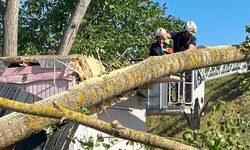 Während ein Großteil der Wiener sich vor dem Regen daheim verschanzte, waren die Teams der ...