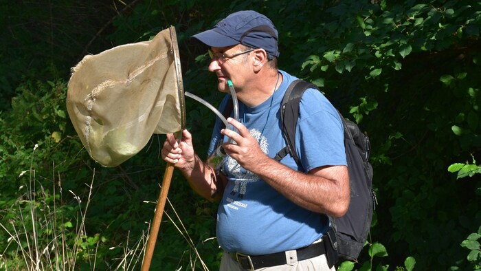 Werner Holzinger vom ÖkoTeam Graz hat sich in den vergangenen Jahren intensiv mit den Zikaden ...