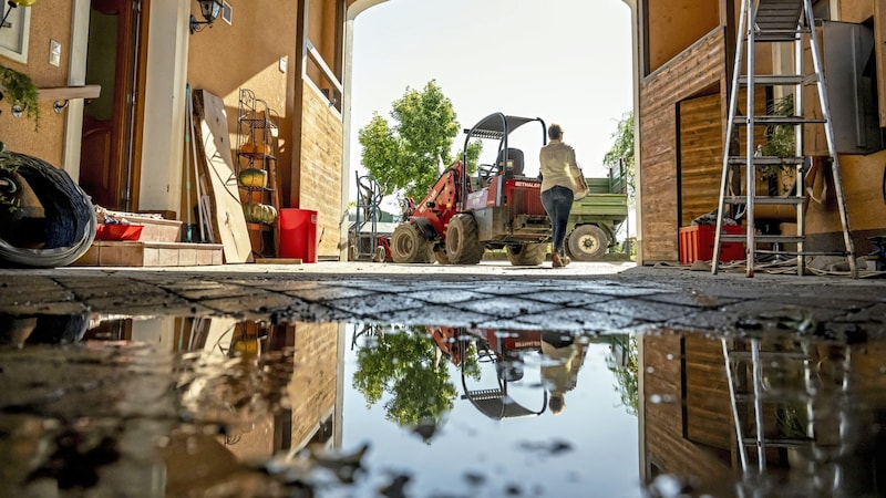 Everything under water: the Fidler family's farm in Rust in the Tullnerfeld, one week after the flood (Bild: Antal Imre/Imre Antal)