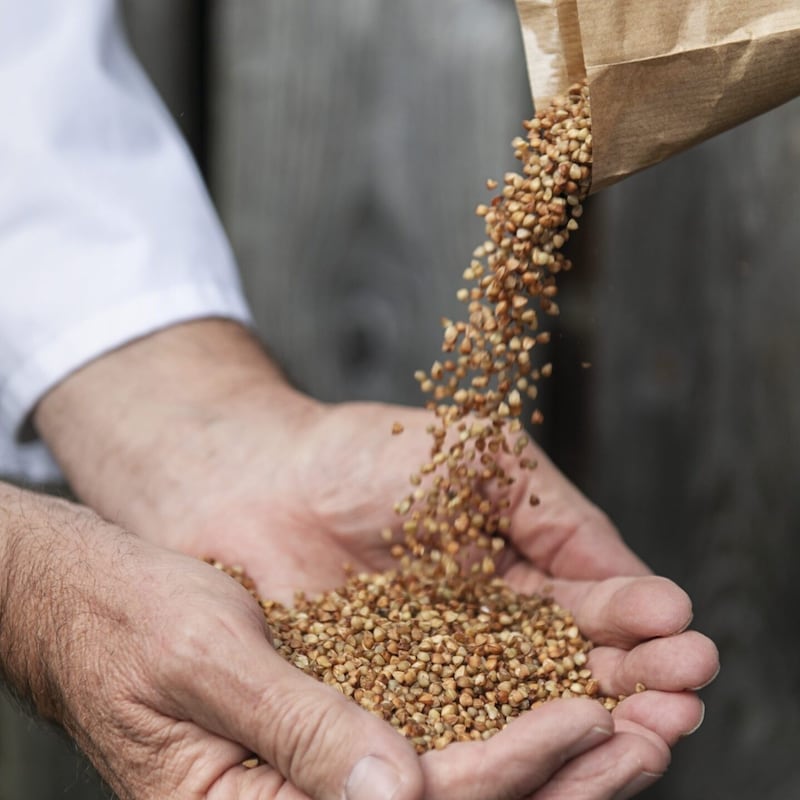 This grain conquers the entire region and is ground in the Hadn mill. (Bild: CARLETTO FERRARI WWW.CARLETTO.A)