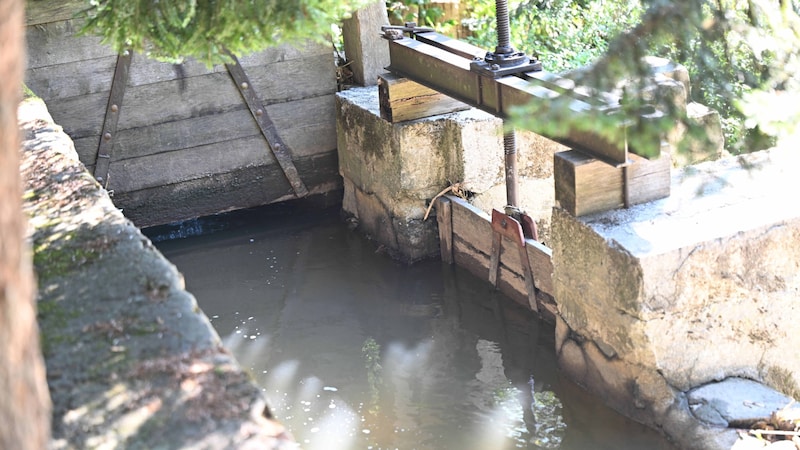 Hier stürzte die Zweijährige ins Wasser. (Bild: © pictureshooting.AT)