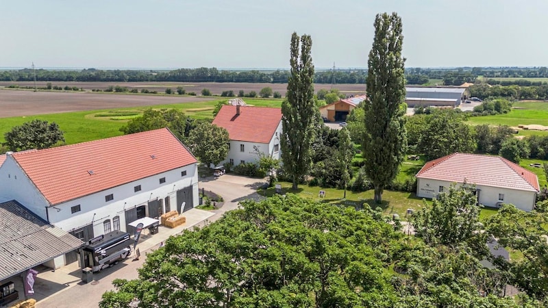 The Esterhazy organic estate in Donnerskirchen (Bild: Lisa Schulcz)