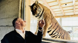 Gut Aiderbichl-Chef Dieter Ehrengruber mit Tiger Sandy (Bild: Gut Aiderbichl)