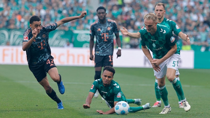 Werder Bremen slipped up against FC Bayern. (Bild: AFP/APA/AXEL HEIMKEN)