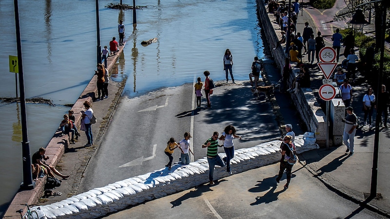 Schaulustige beobachten das Hochwasser am Donauufer in Budapest. (Bild: AFP or licensors)