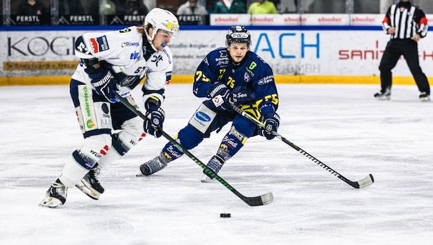 Zells Eisbären siegten zum Start der Alps Hockey League. (Bild: EK Zeller Eisbären/Johannes Radlwimmer)