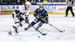 Zells Eisbären siegten zum Start der Alps Hockey League. (Bild: EK Zeller Eisbären/Johannes Radlwimmer)