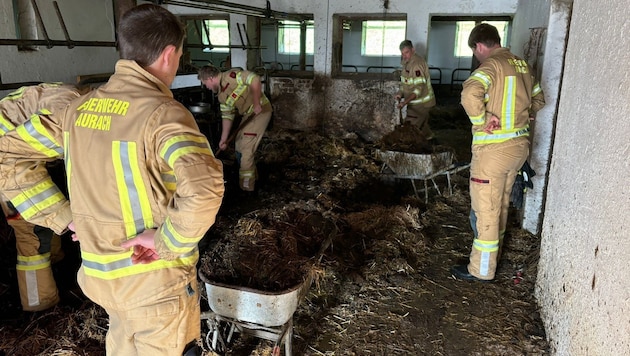 The Florianis ventilated the barn. (Bild: ZOOM Tirol)