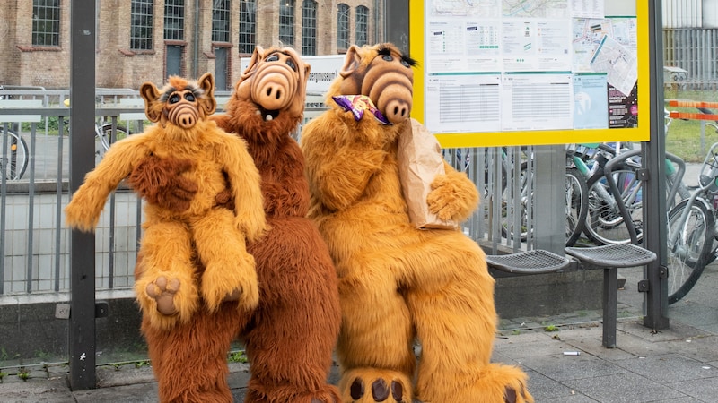 "Alf" focuses on the family (Bild: Copyright: © Maya Röttger)