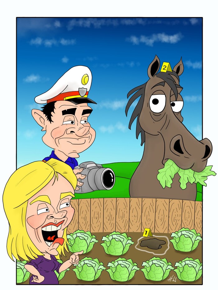 This is how cartoonist Werner Haidenhofer sees the controversial case.