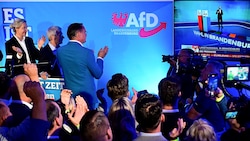 Die AfD-Spitze bei der Brandenburg-Wahl (Bild: APA/AFP/John MACDOUGALL)