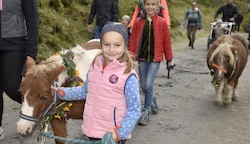 Lisa war die Freude beim Pony-Almabtrieb sprichwörtlich ins Gesicht geschrieben