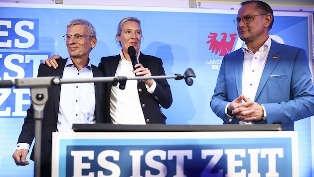 Brandenburg AfD leader Hans-Christoph Berndt (left) with party chairmen Alice Weidel and Tino Chrupalla may not be celebrating an election victory, but a record result. (Bild: AFP)