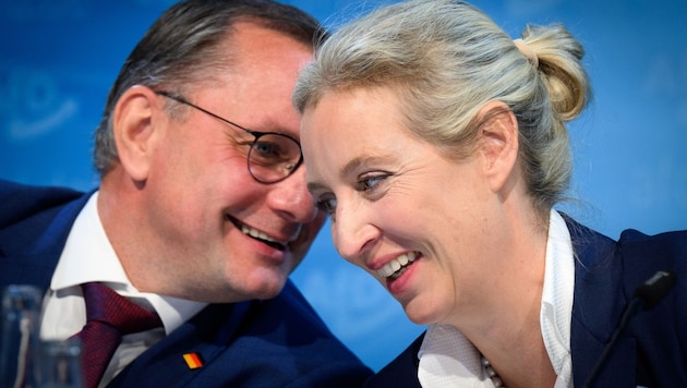 The AfD party leadership is currently beaming. (Bild: APA Pool/dpa/Bernd von Jutrczenka)