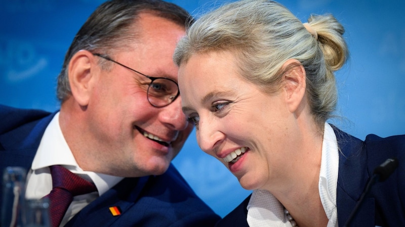 Tino Chrupalla und Alice Weidel (Bild: APA Pool/dpa/Bernd von Jutrczenka)