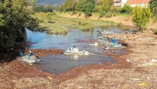 Spektakuläre Bilder: Sechs Mähboote entfernen Tonnen von Treibholz und Unrat aus den Auffangbecken in Auhof. (Bild: Stadt Wien/Christian Fürthner)