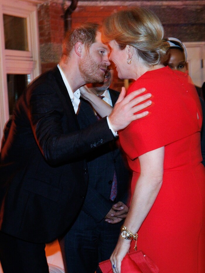 Prince Harry and Queen Mathilde of Belgium greet each other with kisses on the cheeks.
