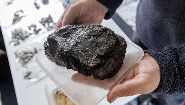 Excavation manager Harald Lübke shows the part of a Stone Age paddle. (Bild: APA Pool)