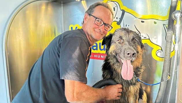 "Zeus" was the first dog to test the brand new grooming container. (Bild: Christian Schulter)