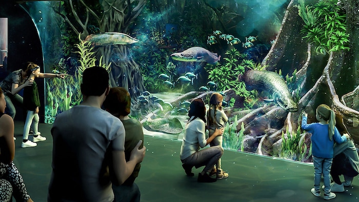 A 15-metre-long pool is to show the world of the Amazon.