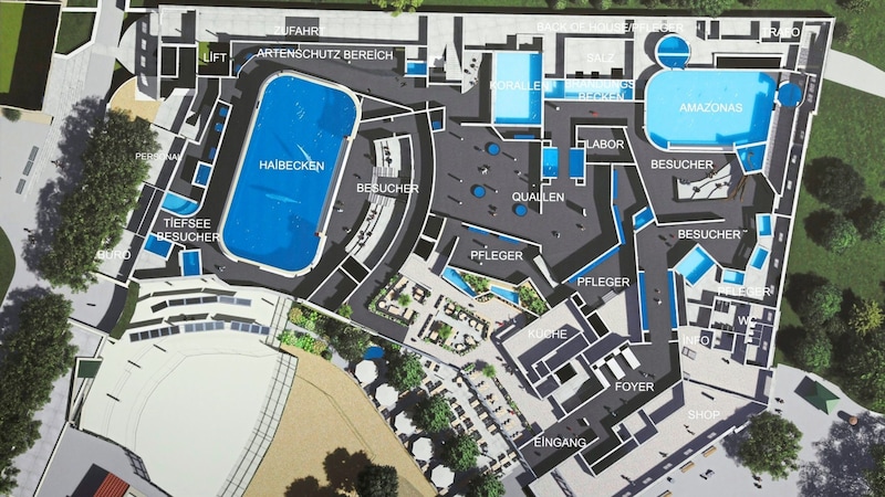 At least a first floor plan of the aquarium has now been presented to the public three years after winning the competition. (Bild: Jöchl Martin)