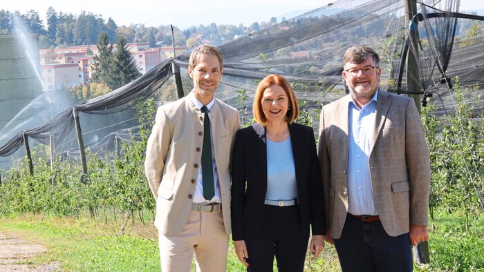 Landesrätin Simone Schmiedtbauer mit Franz Grießner und Leo Steinbauer in einer Apfelplantage ...