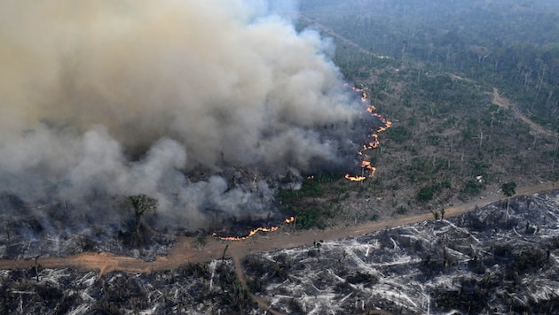 Aerial view of an Amazon rainforest area deforested by illegal fires in the municipality of Labrea (Brazil) at the end of August 2024 (Bild: AFP)