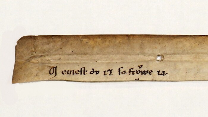 Ausschnitt aus der neu entdeckten Handschrift: Worte, geschrieben im Jahr 1230.